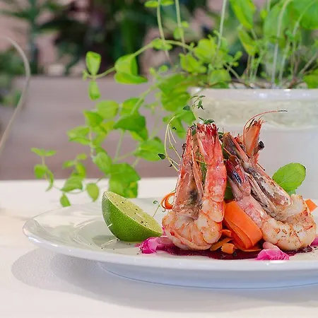 Hotel Hotel Rzeszow 4*